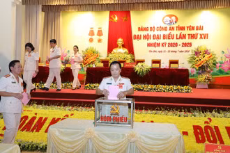 Bầu trực tiếp Bí thư Đảng ủy tại đại hội.