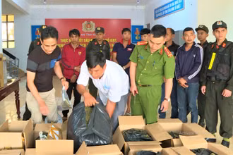 Ngoài số cần tươi, lực lượng Công an còn phát hiện 80kg cần sa khô được các đối tượng đóng trong thùng chuẩn bị đưa đi tiêu thụ.