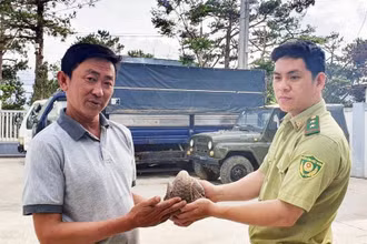 Ông Dũng giao nộp cá thể tê tê vàng quý hiếm cho Hạt Kiểm lâm TP Đà Lạt.