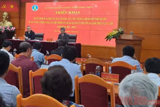 Hội nghị triển khai Quyết định số 414/QĐ-TTg ngày 15-4, tại Hà Nội.