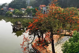 Vẻ đẹp chùa Thầy trong những ngày xuân.