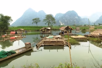 Nông dân huyện Bá Thước nuôi cá lồng trên vùng ngập nước thủy điện.