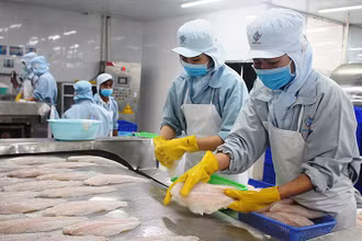 Kim ngạch xuất khẩu thủy sản năm 2021 ước đạt 8,89 tỷ USD, tăng 5,7% so với cùng kỳ năm 2020.