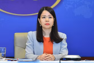 Trợ lý Bộ trưởng, Vụ trưởng Vụ Tổng hợp Kinh tế, Bộ Ngoại giao Nguyễn Minh Hằng tham dự cuộc họp.