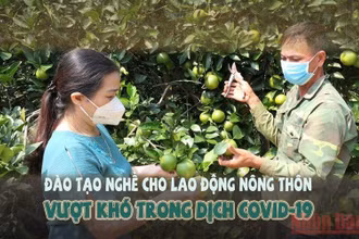 Đào tạo nghề cho lao động nông thôn vượt khó trong dịch Covid-19