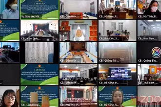 Buổi tập huấn trực tuyến do Bộ Giáo dục và Đào tạo tổ chức.