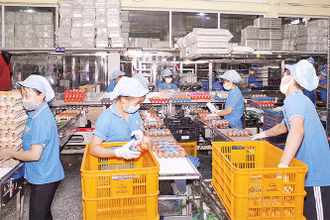 Sản xuất tại Công ty cổ phần thực phẩm Vĩnh Thành Đạt (Ảnh minh họa: Phương Vy).