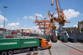 Bốc xếp hàng hóa xuất nhập khẩu tại cảng Tân Vũ, Hải Phòng. (Ảnh: DUY LINH)