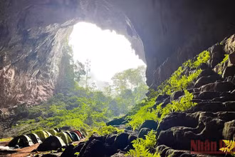 Cửa hang Pygmy, hang động lớn thứ tư thế giới, nằm trong vùng lõi VQG Phong Nha-Kẻ Bàng. (Ảnh: Mỹ Hạnh) 