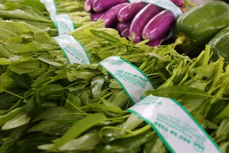 Sản phẩm của chương trình “Xây dựng chuỗi giá trị rau bền vững cùng nông hộ nhỏ tại Việt Nam” (Ảnh: Rikolto Việt Nam). 