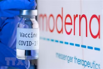 Vaccine ngừa Covid-19 bên biểu tượng của hãng dược phẩm Moderna. (Ảnh: AFP/TTXVN)