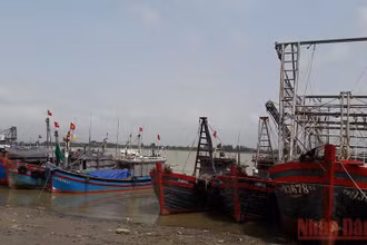 Tàu cá cập cảng Hới, thành phố Sầm Sơn–Thanh Hóa. (Ảnh: Mai Luận)