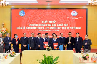 Quang cảnh lễ ký kết.