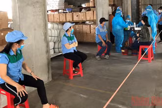 Doanh nghiệp trong khu công nghiệp ở Thái Bình chủ động xét nghiệm định kỳ cho công nhân lao động.