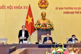 Phó Chủ tịch thường trực Quốc hội Trần Thanh Mẫn phát biểu ý kiến tại phiên họp. (Ảnh: Duy Linh)