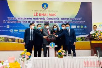 Các đại biểu bấm nút khai mạc Hội chợ Triển lãm Nông nghiệp Quốc tế 2021 (AgroViet online 2021) tại điểm cầu Hà Nội.