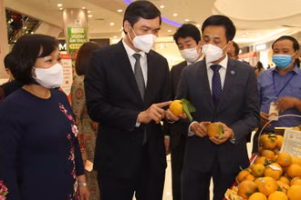Các đại biểu tham quan Hội chợ. (Ảnh: CTV)