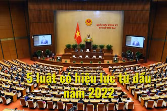 5 luật có hiệu lực từ đầu năm 2022