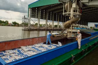 Sản phẩm Phân bón Cà Mau xuất xưởng đến các thị trường trong và ngoài nước.