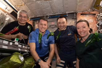 Lần đầu tiên thu hoạch ớt trồng trên ISS. (Ảnh: NASA)