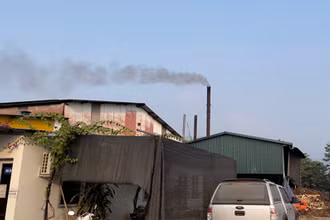 Công ty Cổ phần Chế biến và Xuất nhập khẩu gỗ Việt Ý vẫn hoạt động bất chấp yêu cầu của Sở Tài nguyên và Môi trường tỉnh Tuyên Quang.