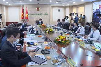 Quang cảnh Hội thảo trực tuyến công bố kết quả hội nghị COP26 - Hành động của Việt Nam, ngày 7/12. (Ảnh: VT)