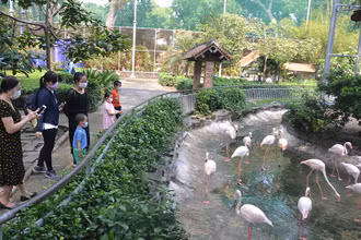 Thảo cầm viên Sài Gòn đã mở cửa đón khách tham quan.