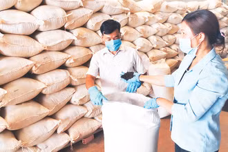 Kiểm tra chất lượng sản phẩm hồ tiêu hữu cơ trước khi đóng gói xuất khẩu tại Hợp tác xã nông nghiệp-thương mại-dịch vụ hữu cơ Hoàng Nguyên ở xã Thuận Hà (Đắk Song, Đắk Nông).