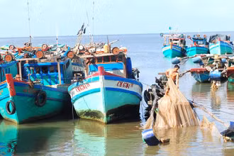 Tàu khai thác neo đậu an toàn tại một khu vực ven đê biển biển Tây, khu vực thuộc huyện Trần Văn Thời, tỉnh Cà Mau.