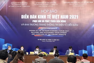 Họp báo về Diễn đàn Kinh tế Việt Nam 2021.