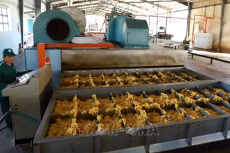 Dự báo nhu cầu nhập khẩu cao su của Nga từ Việt Nam sẽ còn tăng mạnh trong thời gian tới. (Ảnh: Vũ Sinh/TTXVN)