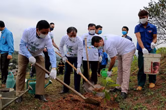 Chủ tịch UBND tỉnh Hòa Bình Bùi Văn Khánh (giữa) tham gia trồng cây xanh sau lễ trao tặng.