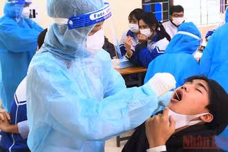 Lấy mẫu xét nghiệm sàng lọc Covid-19 cho học sinh ở huyện Hậu Lộc.