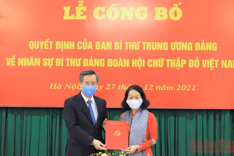 Đồng chí Bùi Thị Hòa nhận quyết định chức Bí thư Đảng đoàn Hội Chữ Thập đỏ Việt Nam.