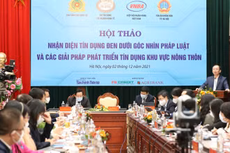 Phó Thống đốc Thường trực Ngân hàng Nhà nước Đào Minh Tú phát biểu tại hội thảo.