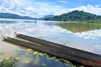 Hồ Lắk, một điểm du lịch hấp dẫn, nổi tiếng luôn là sự lựa chọn của du khách khi đến với Đắk Lắk.