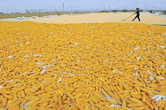 Ảnh minh họa. (Ảnh: Reuters)