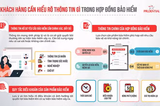 Thông tin khách hàng cần đọc và hiểu rõ trong hợp đồng bảo hiểm. 