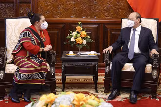 Chủ tịch nước Nguyễn Xuân Phúc tiếp bà Maria Olandina Isabel Caeiro Alves, Đại sứ Timor Leste tại Việt Nam. (Ảnh: TTXVN)