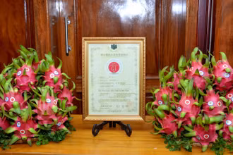 Bằng bảo hộ chỉ dẫn địa lý thanh long Bình Thuận tại Nhật Bản và thanh long Bình Thuận xuất khẩu qua Nhật Bản có dán hai tem Chỉ dẫn địa lý của Bình Thuận và của Nhật Bản (GI).
