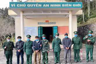 Các đội tượng bị lực lượng Bộ đội biên phòng bắt giữ.