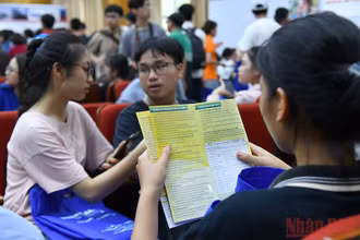 Tìm hiểu các thông tin về tuyển sinh, ngành học. (Ảnh: DUY LINH)