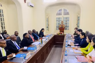 Các đại biểu tại cuộc gặp giữa Đoàn đại biểu Quốc hội Mozambique và lãnh đạo Liên hiệp các tổ chức hữu nghị Việt Nam.