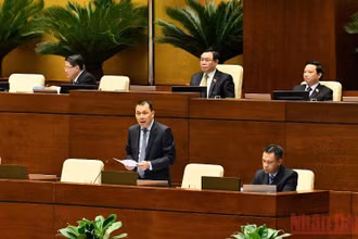 Thứ trưởng Công thương Đặng Hoàng An phát biểu giải trình, làm rõ một số vấn đề các đại biểu Quốc hội nêu. (Ảnh: NGUYÊN LINH)