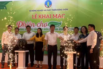 Các đại biểu ấn nút khai mạc Phiên chợ nông sản, đặc sản vùng miền các tỉnh đồng bằng sông Hồng năm 2022 . (Ảnh: THANH TRÀ)