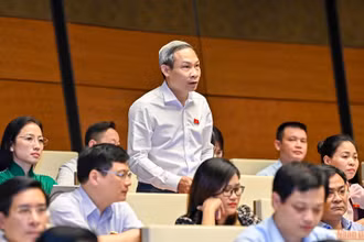 Đại biểu Phan Đức Hiếu phát biểu tại phiên thảo luận của Quốc hội chiều 13/6. (Ảnh: LINH NGUYÊN)