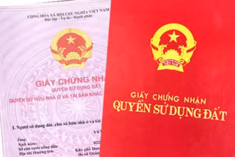 Ảnh minh họa. (Nguồn: baochinhphu.vn)