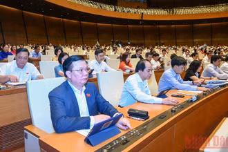Đại biểu Quốc hội biểu quyết thông qua Luật Kinh doanh bảo hiểm (sửa đổi). (Ảnh: LINH KHOA NGUYÊN)