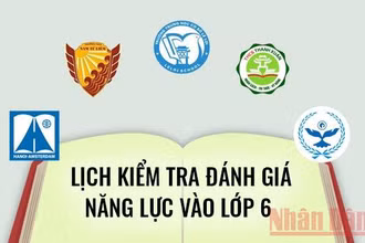 Lịch kiểm tra đánh giá năng lực vào lớp 6 trường công lập