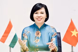 Đại sứ Việt Nam tại Hungary Nguyễn Thị Bích Thảo. (Nguồn: Đại sứ quán Việt Nam tại Hungary/baoquocte.vn)